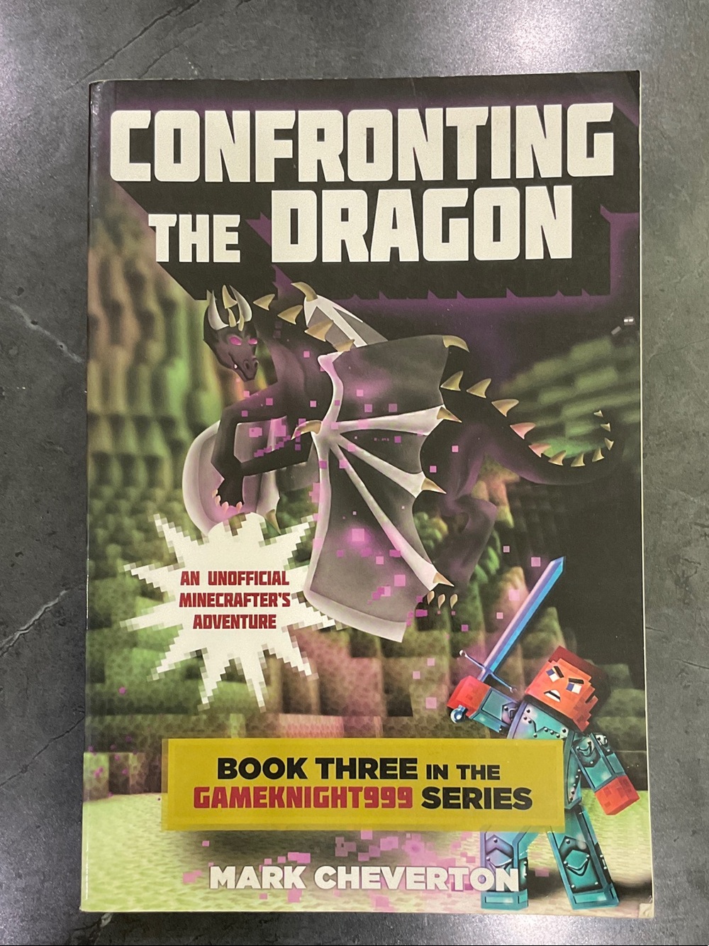Confronting the Dragon - Minecraft Adventure Book
